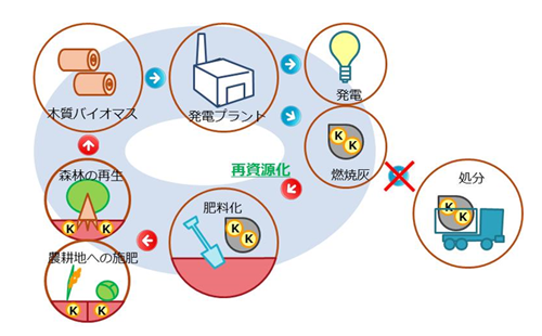 木質バイオマス発電燃焼灰のカリウム成分濃縮プロセスの開発と肥料への再資源化の概要