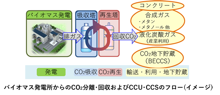 バイオマス発電所からのCO2分離・回収およびCCU・CCSのフローイメージ