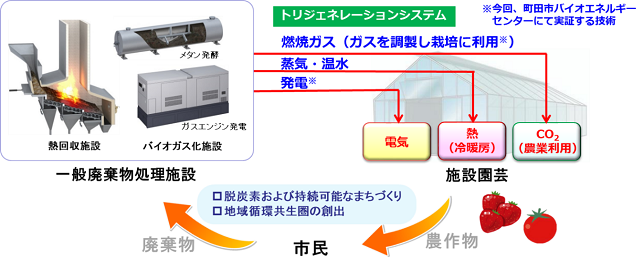 取り組み概念図