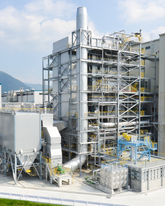 Biomass Power Plants