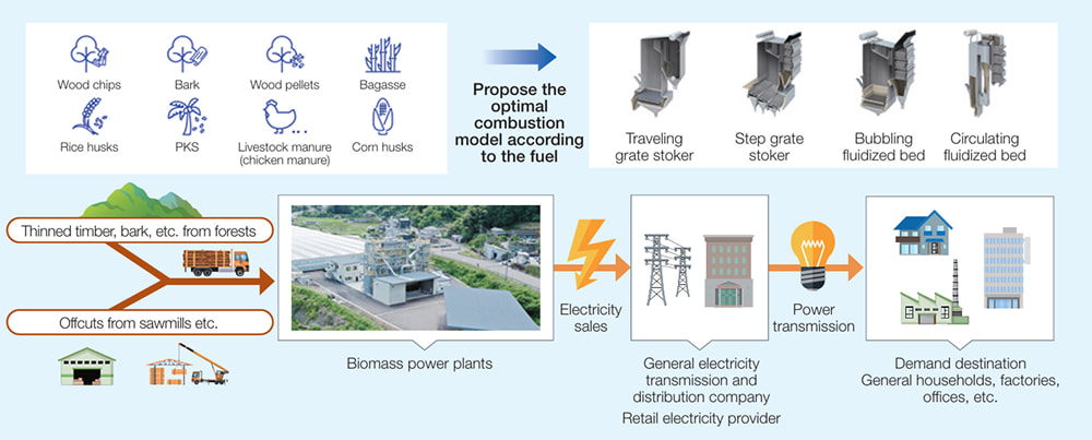 Conceptual diagram of a biomass plant utilizing diverse biomass fuels.