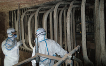Plant maintenance (inspections and cleaning) 1