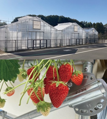 燃焼ガス中のCO2を農業で有効利用
