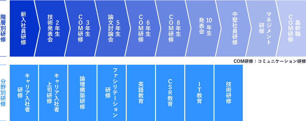 社員研修体系のロードマップ。上段に年次や役職に応じた「階層別研修」、下段にスキル別の「分野別研修」が並んでおり、新入社員から課長クラスまでの成長ステップを可視化