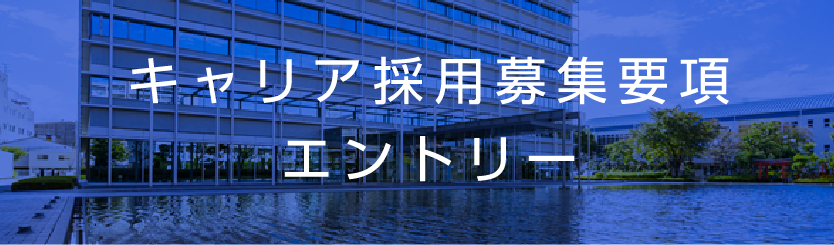 キャリア採用募集要項 エントリー