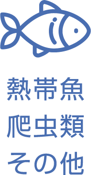 熱帯魚、爬虫類、その他